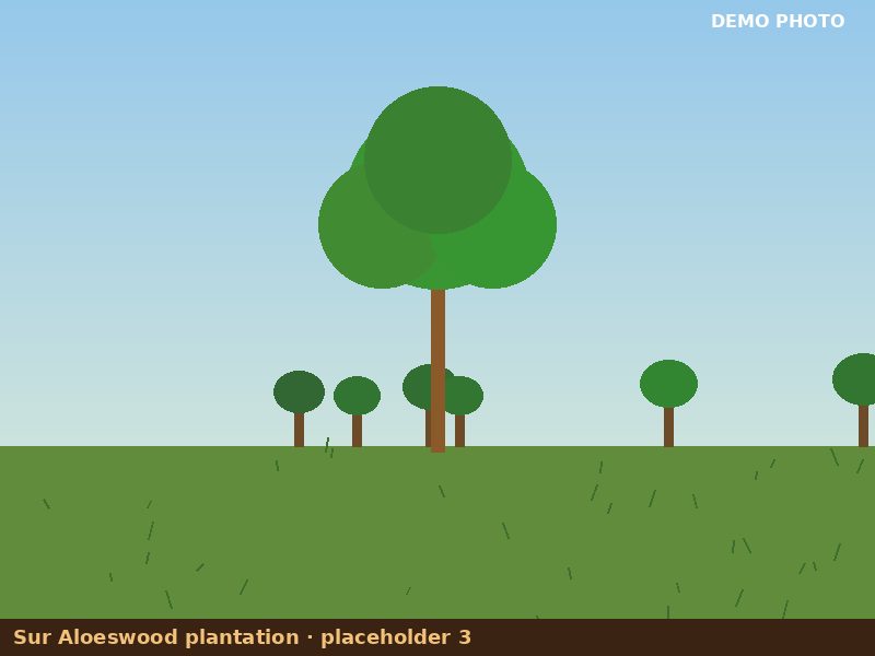 Plantation placeholder 3